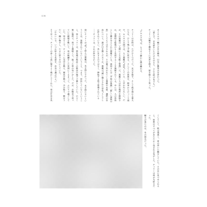 REISAI フルカラー資料集『ハリーの幽契』(通常版)