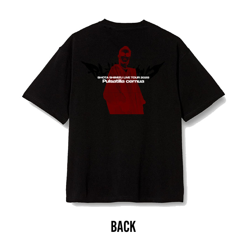 ゲルぴよ presents SHOTA SHIMIZU LIVE TOUR 2025 'Pulsatilla cernua