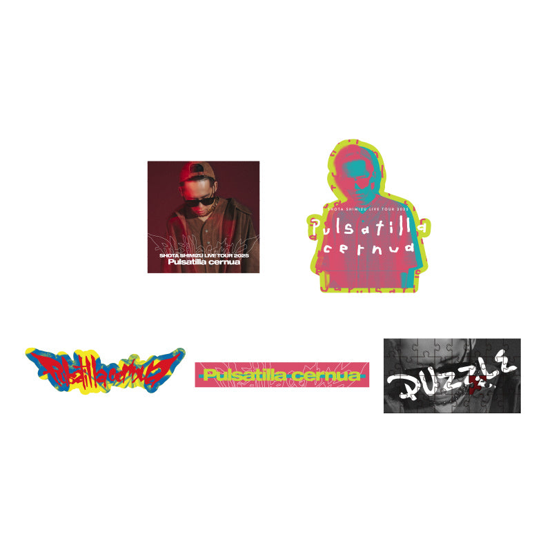 「ゲルぴよ presents SHOTA SHIMIZU LIVE TOUR 2025 'Pulsatilla cernua'」ステッカーセット