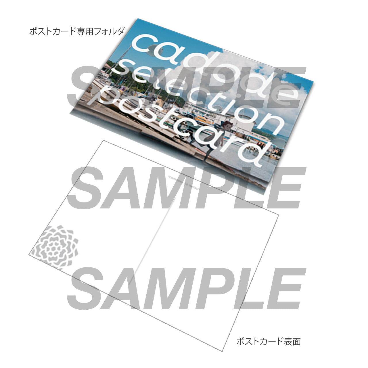 cadode　グッズ「カモレの夏」cadode Selectionポストカードセット